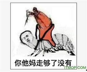 还你皮皮虾表情包
