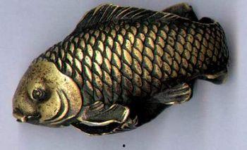 蛇眉铜鱼真实照片